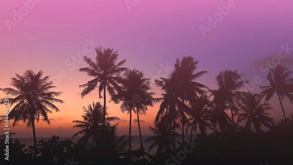 Fototapeta Banner Summer with silhouette colorful theme as palm trees background as texture frame