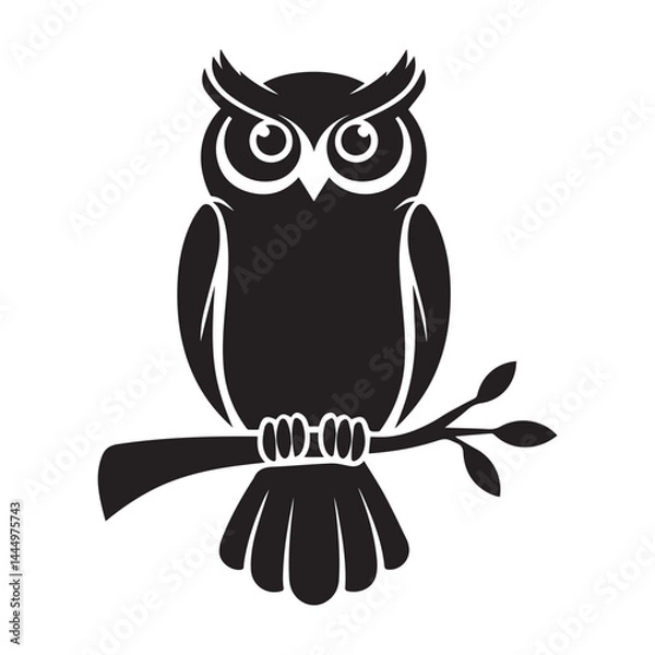 Fototapeta owl on a branch