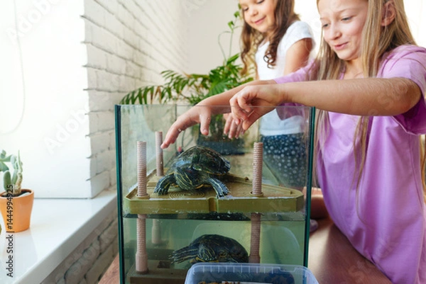 Fototapeta Two children interact with turtles in a bright indoor environment with plants and natural light