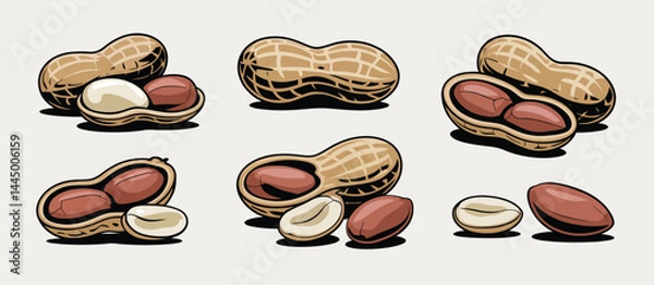 Fototapeta Collection of Peanuts in Shells and Out of Shells
