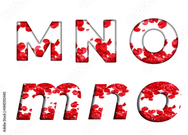 Fototapeta Red Rose Petals Red Flower M, N, O  word alphabet letter text english font  