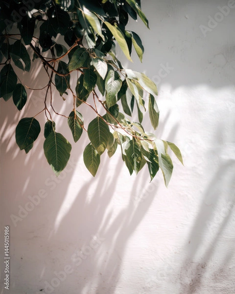 Fototapeta Sunlight Filters Through Green Leaves, Creating Intricate Patterns on a Pristine White Wall on a Serene Afternoon