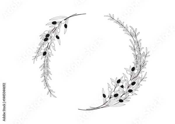 Obraz ナチュラルなオリーブとローズマリーの手描き風の線画　スワッグ