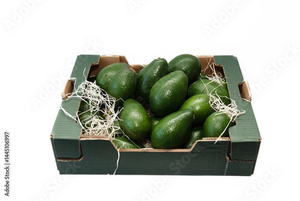 Obraz Close-up of a cardboard box filled with healthy and tasty whole green avocados on a white background.