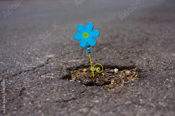 Fototapeta Blümchen