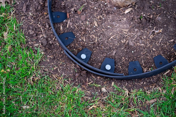 Fototapeta Close-up galvanized spike pierce through no-dig recycled black plastic landscape edging roll to form tight circle around ring to protect trunk, wood chips bedding materials guard fruit tree care