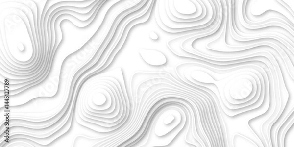 Fototapeta Abstract soft white background with waves, textured Papercut background. Abstract wavy line 3d paper cut white background.