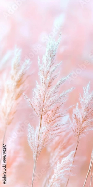 Obraz Soft pink pampas grass against a gentle pastel background capturing tranquility and delicate beauty