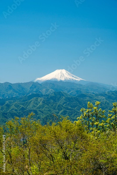 Obraz 五月・快晴の富士山と新緑