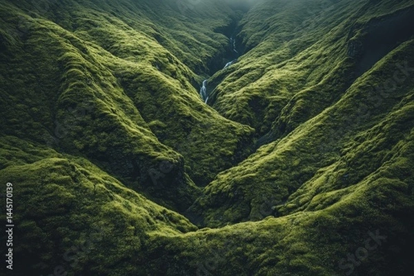 Fototapeta Lush green valley with flowing stream under soft morning light in Iceland