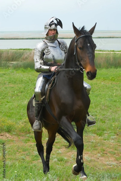 Obraz The knight