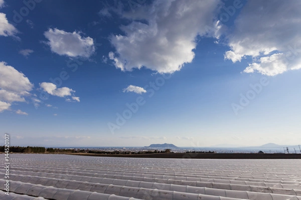 Obraz 津軽海峡を見下ろす畑の農業用トンネル