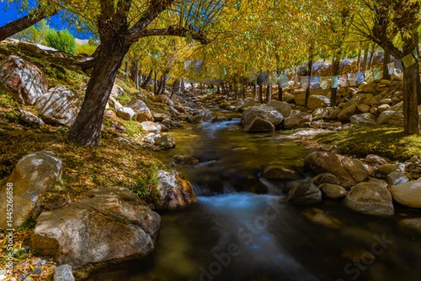 Fototapeta Long exposure of water flowing in a stream through trees during autumn season in Ladakh.