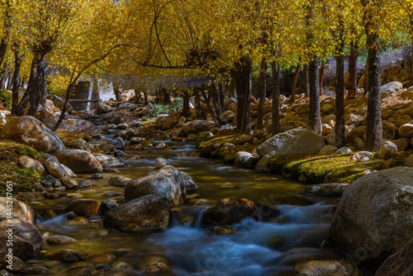 Fototapeta Long exposure of water flowing in a stream through trees during autumn season in Ladakh.