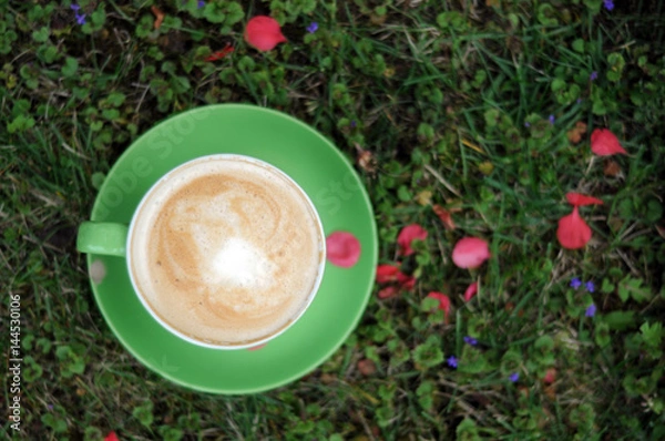 Obraz Green cup green grass