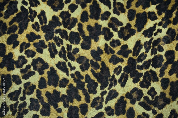 Fototapeta Closeup leopard fur texture