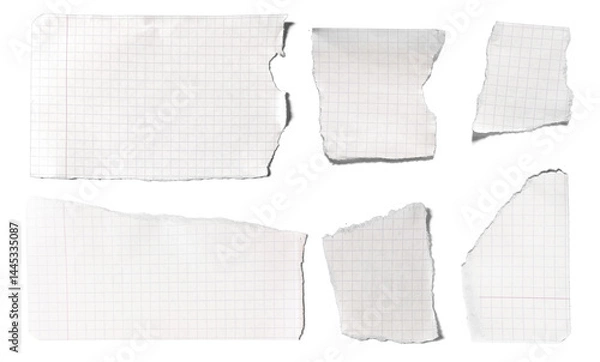 Fototapeta Set of notebook paper torn pieces