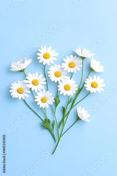Fototapeta A cluster of daisies arranged on a light blue background