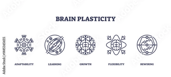 Obraz Brain plasticity shows adaptability, learning, and neural growth with outlined icons of brain, arrows, and neural connections, transparent background. Outline icons set