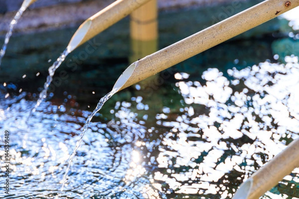Obraz 元伊勢籠神社の手水舎