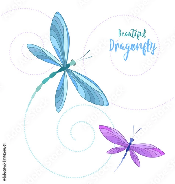 Obraz Dragonflies in flight
