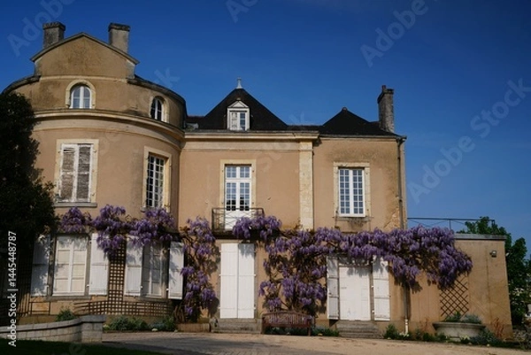 Obraz Façade maison fleurie