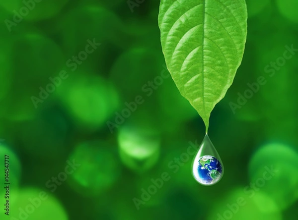 Fototapeta Earth in water drop reflection under green leaf, water and environment concept, Elements of this image furnished by NASA