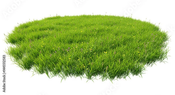 Fototapeta Circular patch of green grass isolated on transparent background, ideal for landscaping mockups, garden design illustrations, eco product branding, and nature-friendly digital content