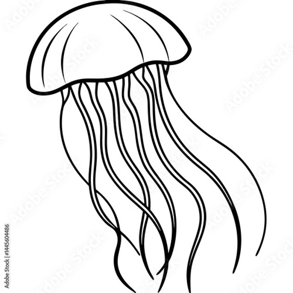 Fototapeta Sleek Jellyfish Outline Vector Art