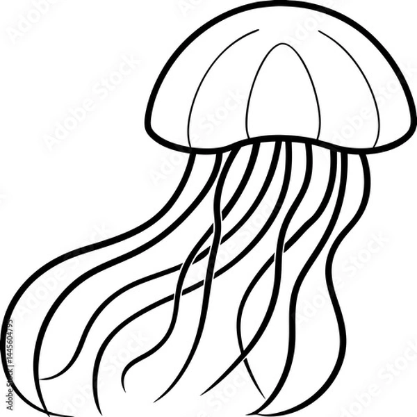 Fototapeta Sleek Jellyfish Outline Vector Art
