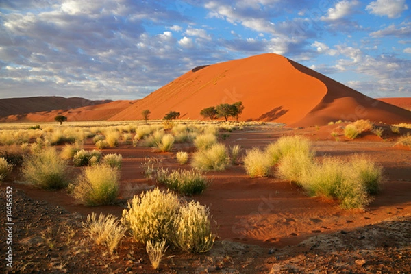 Obraz Pustynny krajobraz, Sossusvlei, Namibia, południowa Afryka