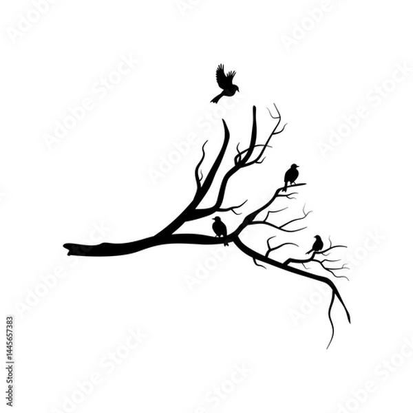 Fototapeta Silhouette of Birds Perched on Tree Branch. Minimalist Nature Design. Vector Illustration