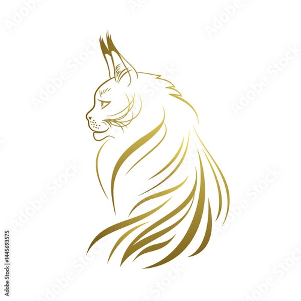 Obraz Maine Coon Cat in Gold Color