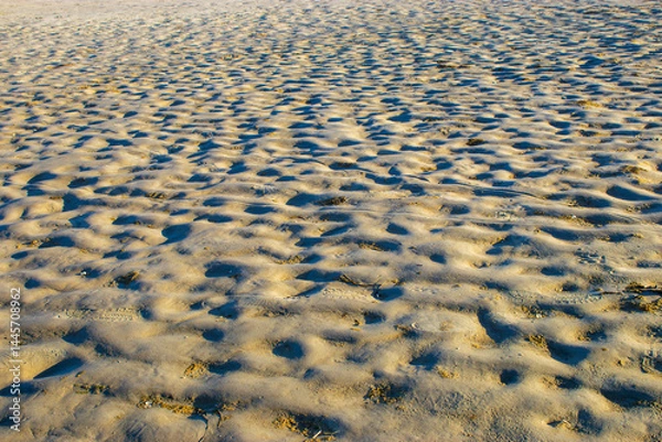 Fototapeta The wavy surface of the seabed after low tide.