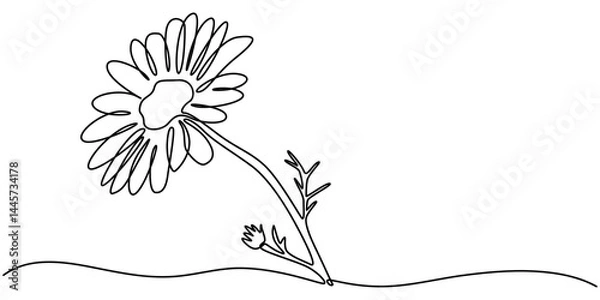 Obraz Daisy flower in continuous line art drawing style. Chamomile One line drawing art. Minimalist black linear sketch. Vector illustration, Daisy Continuous Line Icon, Daisy continuous line drawing.
