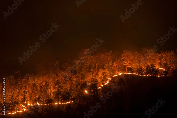 Fototapeta Wildfire line on hill at night, red flowers destroy everything