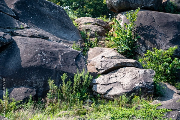Fototapeta An expansive rocky outcrop features large boulders and resilient green vegetation. Sunlight bathes the area, highlighting the textures and shades of the rocks and plants.
