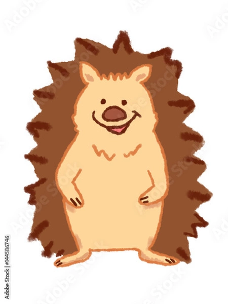 Obraz ハリネズミ