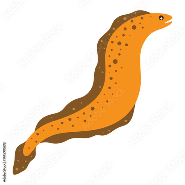 Obraz moray eel isolated