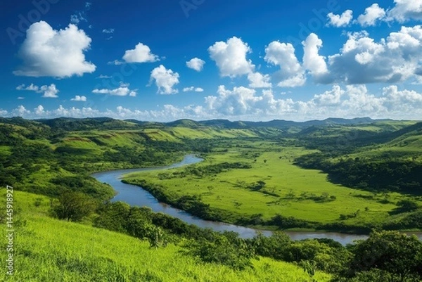 Fototapeta Valley with intersecting rivers and green plains