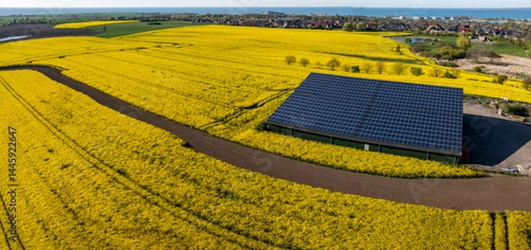 Obraz Aerial view of large solar panel system on the roof of a modern agricultural barn, surrounded by yellow rapeseed fields in spring. Farm equipment storage with large solar photovoltaic array. 