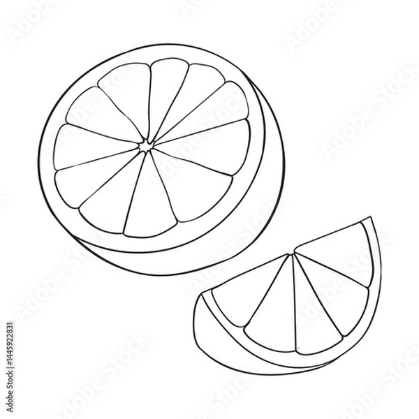Obraz Outline drawing of orange fruit with slice, minimalistic citrus illustration for coloring books, packaging, and healthy food design