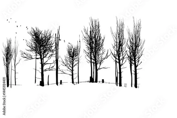Fototapeta Sparse silhouetted trees stand against a transparent background, subtly lit, creating an eerie nighttime feel