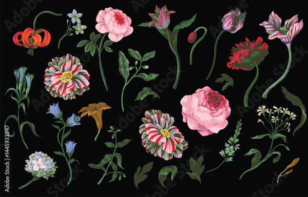 Obraz Big set oil painting rococo still-lifes flowers isolated. Vector.
