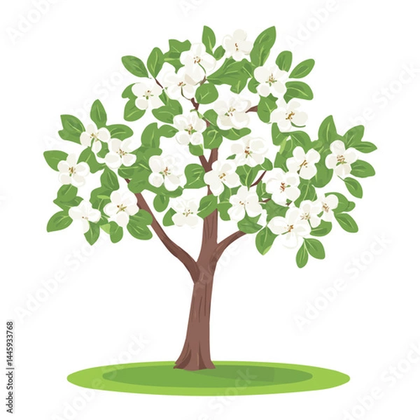 Fototapeta Blossoming Apple Tree In Spring, Flat vector, minimalist design, isolated on a white background.