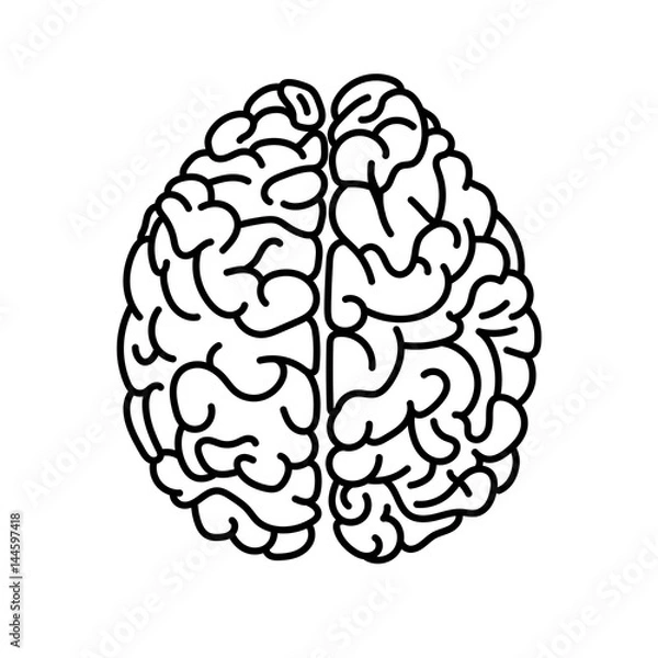 Obraz Flat Style Human Brain Top View Doodle ilustracja