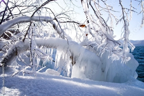 Fototapeta 日本、青森、十和田湖の飛沫氷