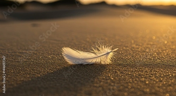 Obraz feather on sand