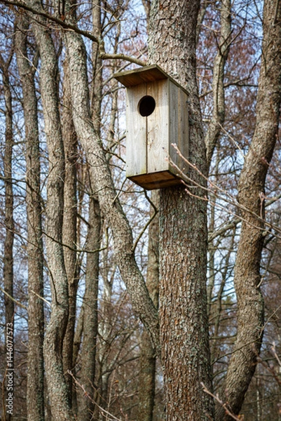 Fototapeta An empty wooden birdhouse is hanging on a tree in the forest.