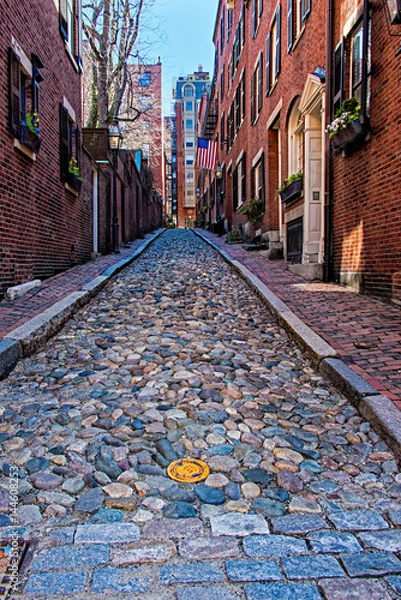 Obraz Cobblestone Street Boston